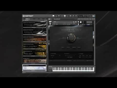 SYMPHONY SERIES - WOODWIND SOLO Playthrough | Native Instruments