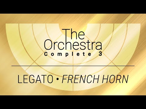 The Orchestra Complete 3 | Pure Performance Legato | French Horn