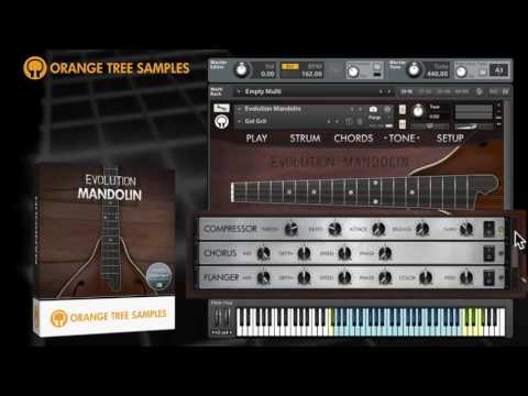 Evolution Mandolin - Walkthrough Demonstration