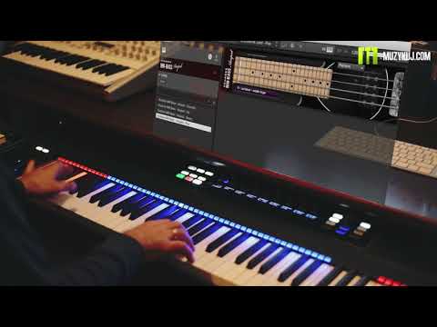 MM scarbee bass Amped - Native Instuments demo By Muzykuj.com