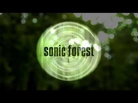 Sonic Forest: Experimental Granular Instrument (Supports Charity)