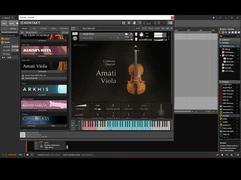 Cremona Quartet by Native Instruments - Amati Viola