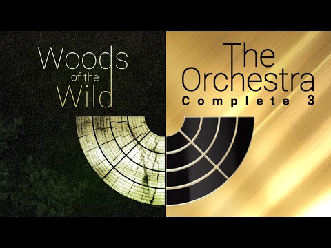 Woods Of The Wild & The Orchestra Complete 3 Trailer | Best Service