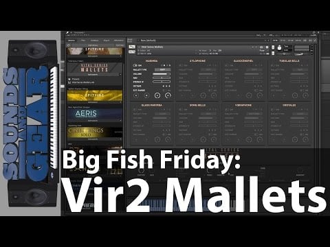 Big Fish Friday: Vir2 Vital Series Mallets