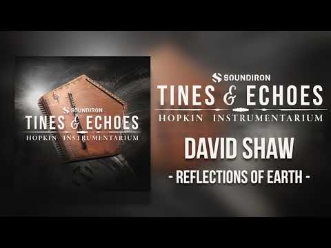 Tines & Echoes | David Shaw - Reflections of Earth